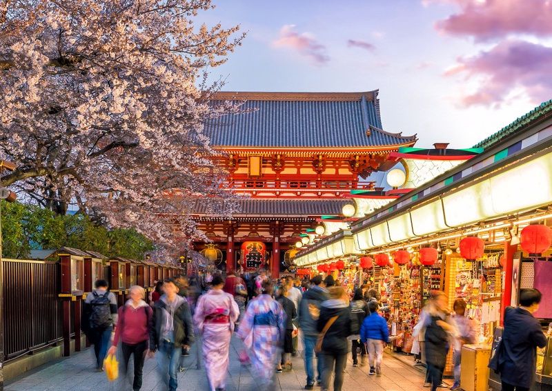 Combiné : La Grande Découverte du Japon et de la Corée en 3 semaines pas cher photo 8