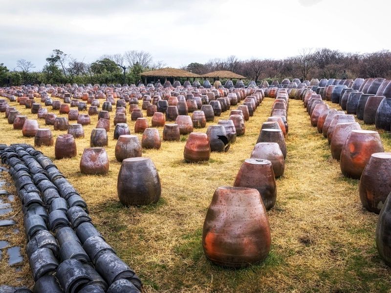 Combiné : La Grande Découverte du Japon et de la Corée en 3 semaines pas cher photo 13