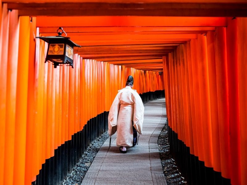Circuit individuel: La grande traversée du Japon en 3 semaines pas cher photo 12