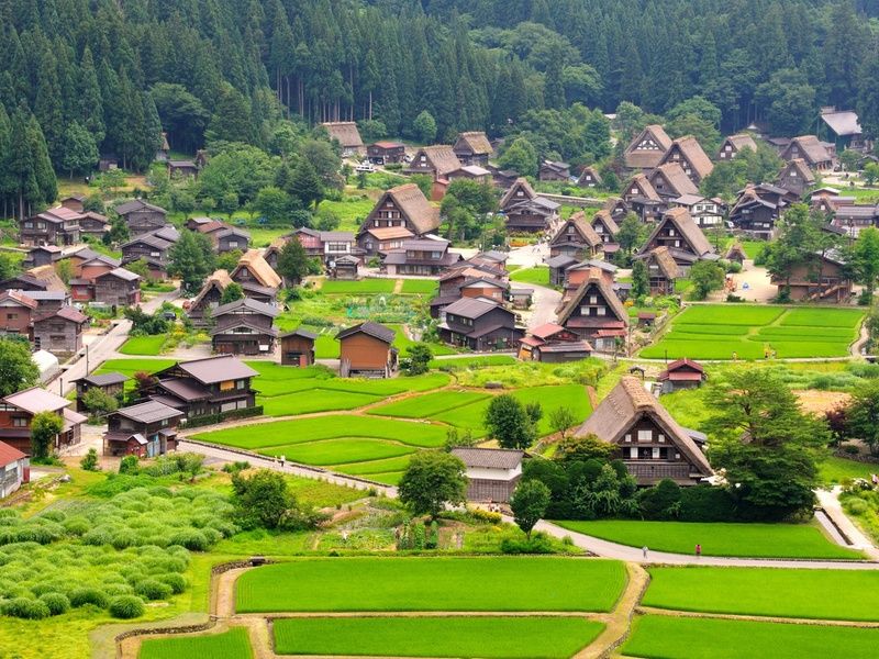 Circuit individuel: La grande traversée du Japon en 3 semaines pas cher photo 17