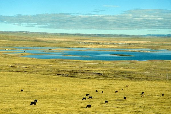 Circuit De Pékin au Tibet et le train du toit du monde pas cher photo 9