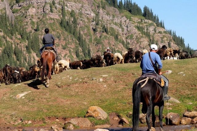 Nomad's Land - Kazakhstan, Kirghizistan pas cher photo 8