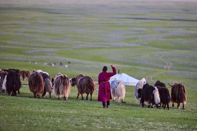 Mongolie, terre nomade pas cher photo 7