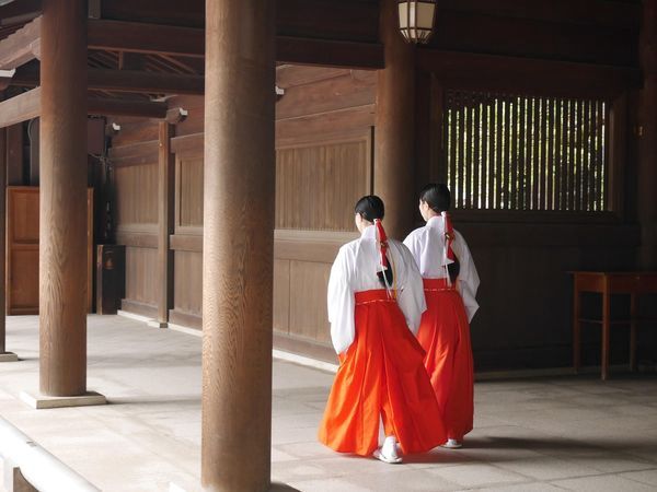 Merveilles du Japon & Alpes Japonaises 13J/10N - 2026 - Limité à 24 pers. pas cher photo 10