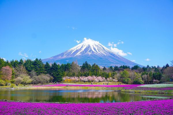 Merveilles du Japon & Alpes Japonaises & Extension Tokyo 15J/12N - 2026 - Limité à 24 pers. pas cher photo 12