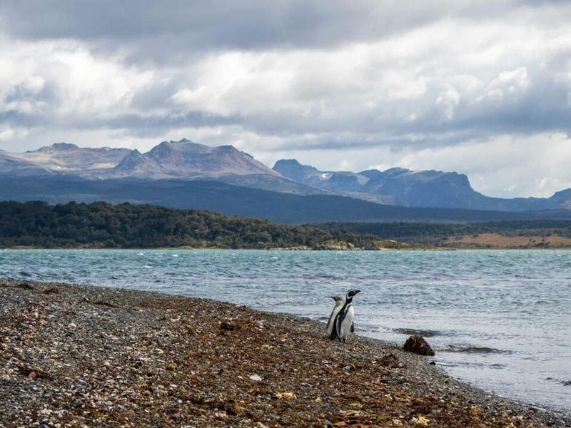 Circuit Evasion en Patagonie de l'Argentine au Chili (petit groupe) & extension Iguazu pas cher photo 9