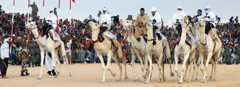 Circuit Le Grand Tour De La Tunisie pas cher photo 5