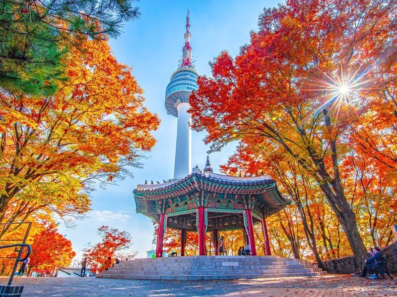 Combiné Trilogie d'Asie : Pékin, Séoul et Tokyo pas cher photo 19