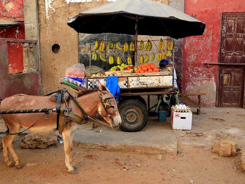 Circuit Saveurs du Sénégal pas cher photo 4
