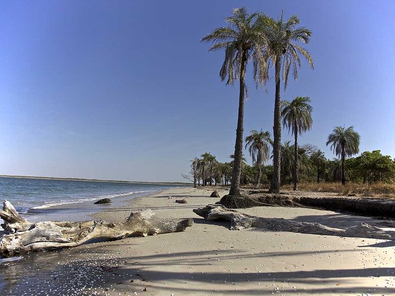 Circuit Saveurs du Sénégal pas cher photo 10