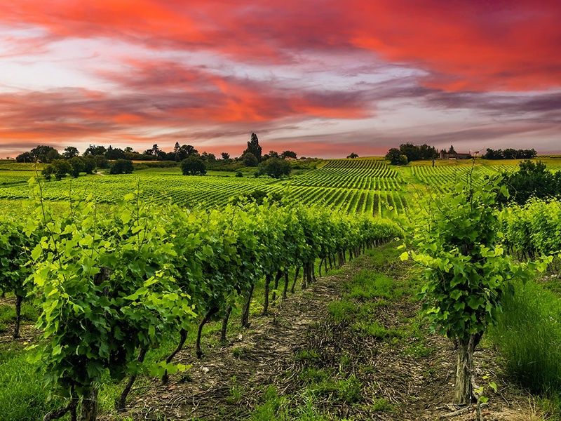 Circuit Saveurs et rencontres argentines pas cher photo 4