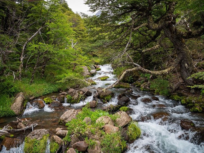 Circuit Saveurs et rencontres argentines pas cher photo 9