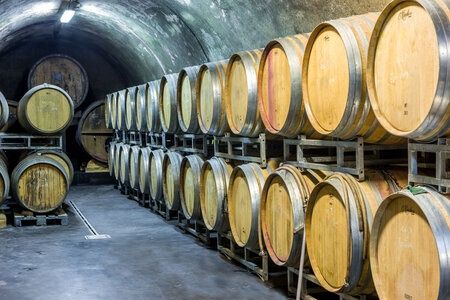 Circuit "Passion de vins en Haute-Corse" pas cher photo 1