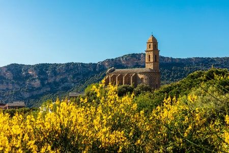 Circuit "Passion de vins en Haute-Corse" pas cher photo 5