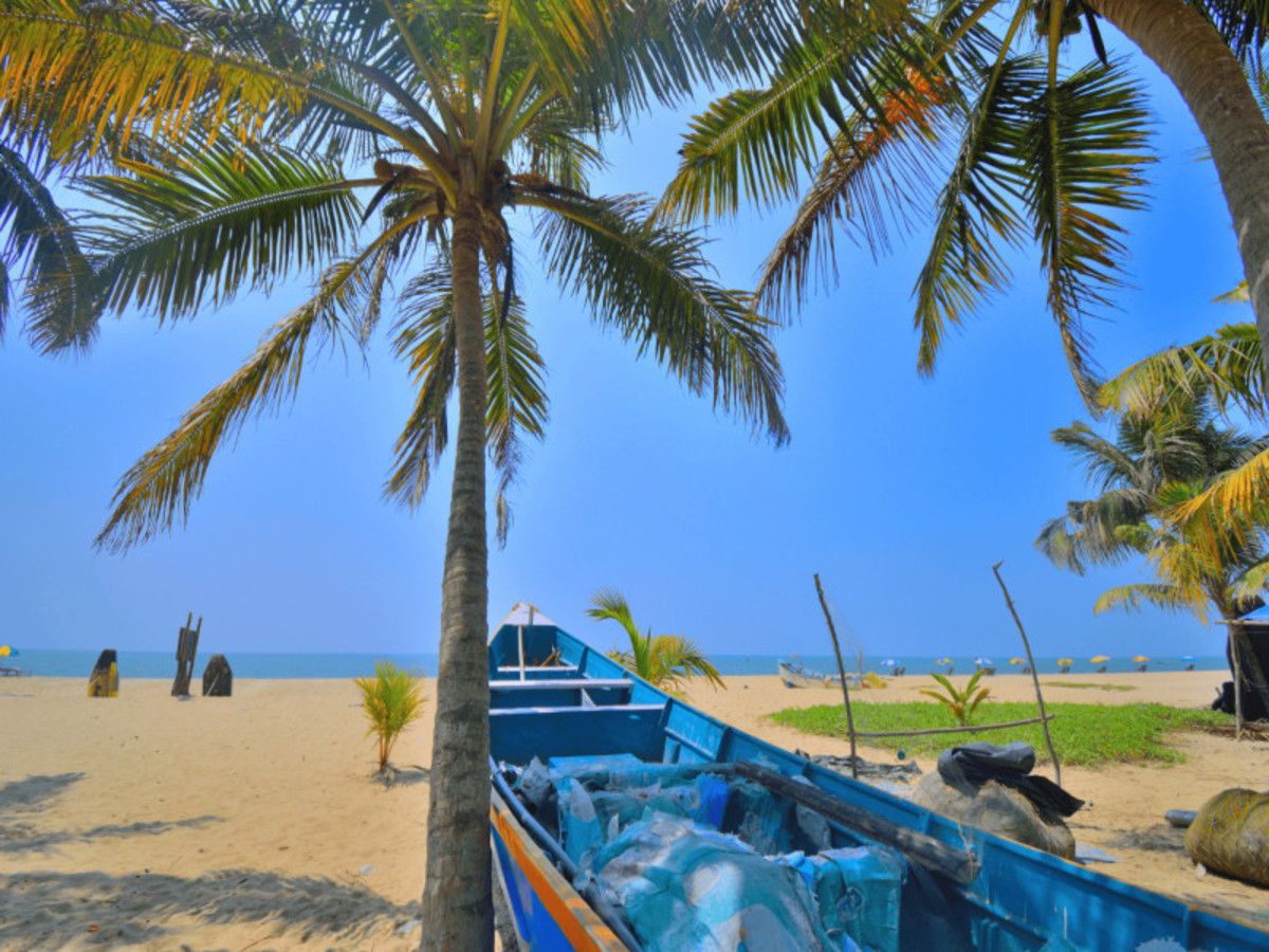 Immersion au Kerala pas cher photo 11