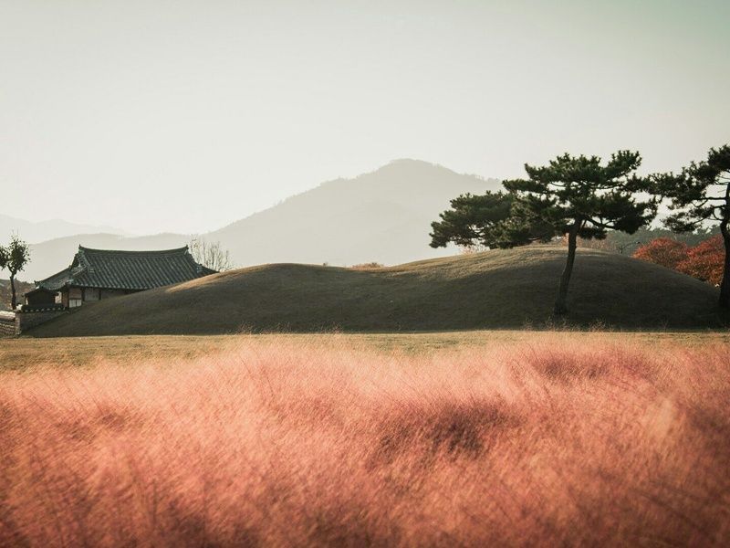 Best of Japon – Corée du sud : Circuit individuel en 3* pas cher photo 11