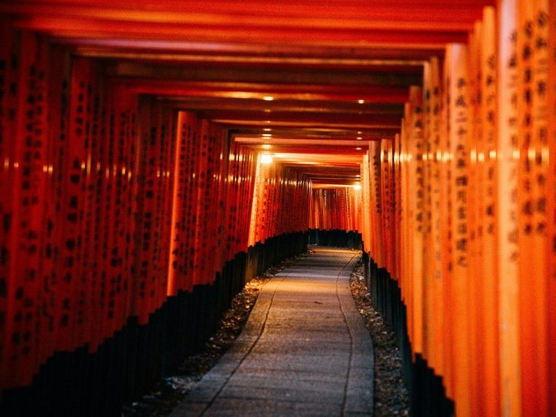 Best of Japon – Corée du sud : Circuit individuel en 3* pas cher photo 18