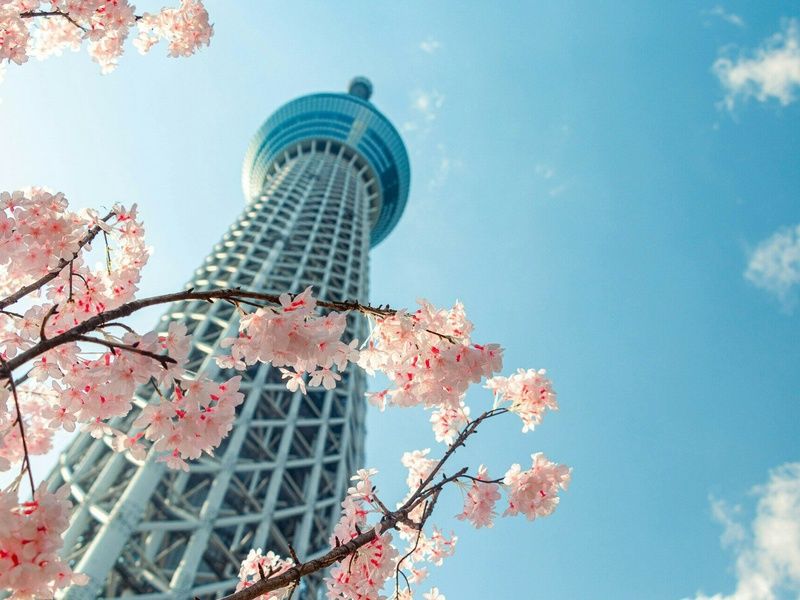 Best of Japon – Corée du sud : Circuit individuel en 3* pas cher photo 20