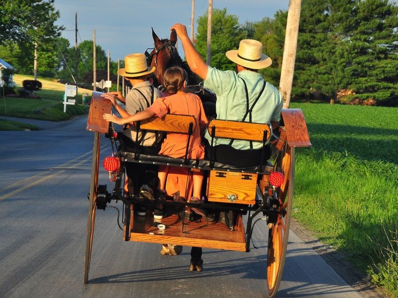 Circuit INCONTOURNABLES USA CANADA 11J/9N pas cher photo 10