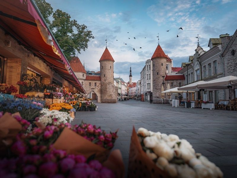 Circuit Au coeur des capitales baltes : de Riga à Tallinn 5J/4N - sortie Riga pas cher photo 1