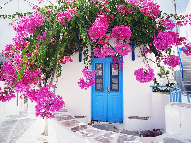 Combiné Athènes / Îles de Santorin & de Paros 2* & 3* 11 nuits pas cher photo 15