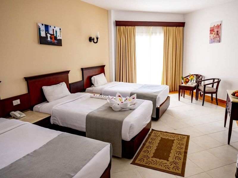 Combiné Splendeurs du Nil et Club Blue Reef Resort 4* Marsa Alam pas cher photo 21