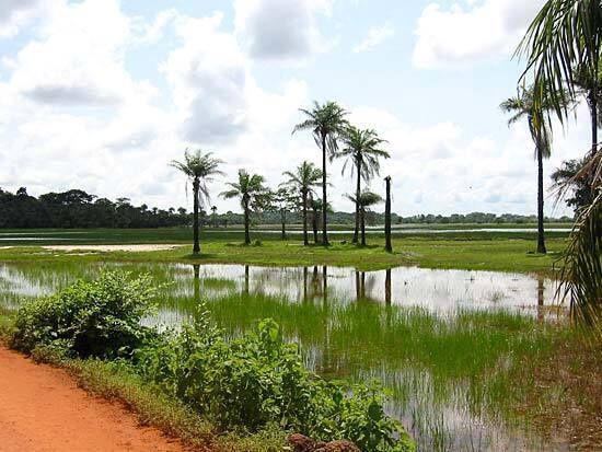 Circuit Privatif Du Siné Saloum aux Plages de la Petite Cote pas cher photo 11