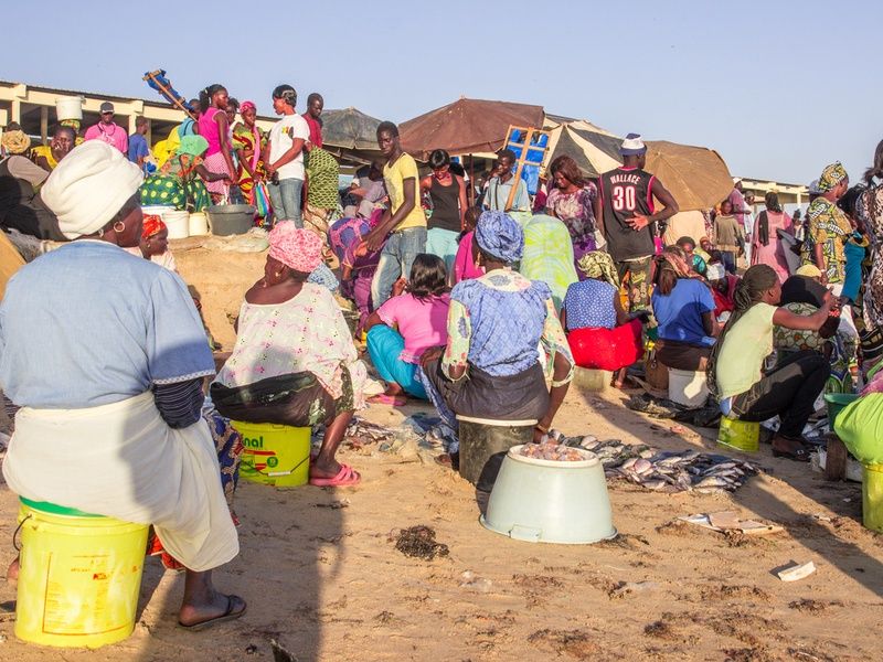 Circuit Privatif Du Siné Saloum aux Plages de la Petite Cote pas cher photo 38