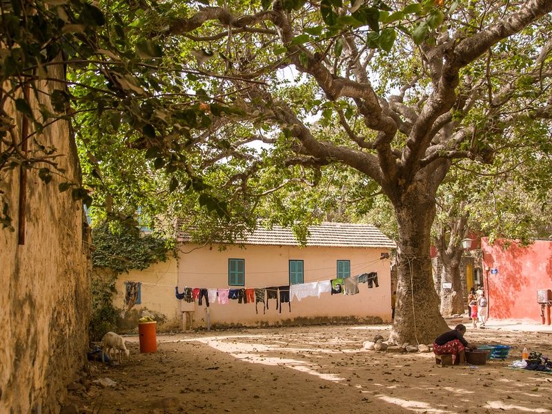 Circuit Privatif Evasion au Sénégal entre Culture et Plage pas cher photo 32