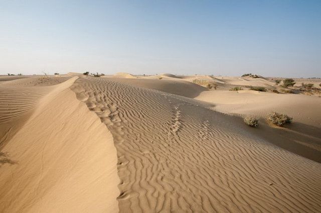 CIRCUIT RAJASTHAN BUISSONNIER pas cher photo 2
