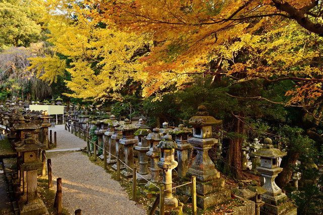 CIRCUIT LE JAPON EN LIBERTE ET NUIT ZEN A KOYASAN pas cher photo 8