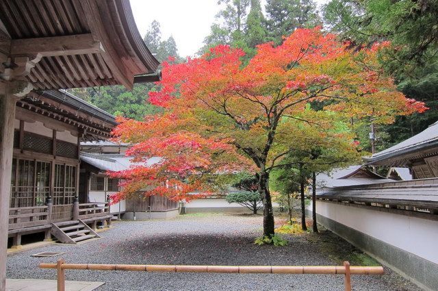 CIRCUIT LE JAPON EN LIBERTE ET NUIT ZEN A KOYASAN pas cher photo 11