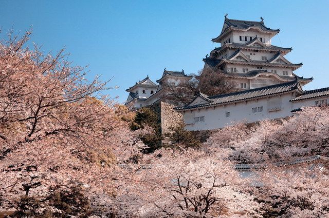 CIRCUIT LE JAPON EN LIBERTE ET LA VOIE DU SHINTO pas cher photo 7