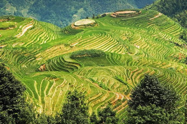 CHINE INTIMISTE pas cher photo 16