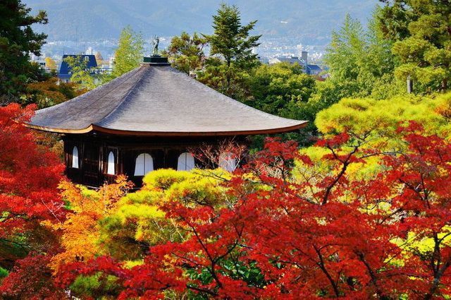 CIRCUIT LE JAPON EN LIBERTE ET TRADITIONS DU JAPON RURAL pas cher photo 8