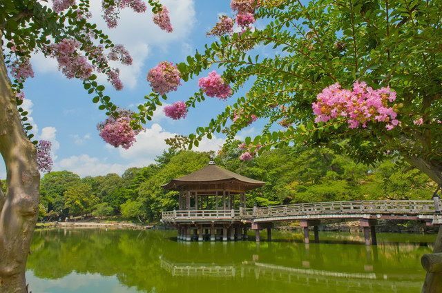CIRCUIT LE JAPON EN LIBERTE ET TRADITIONS DU JAPON RURAL pas cher photo 10