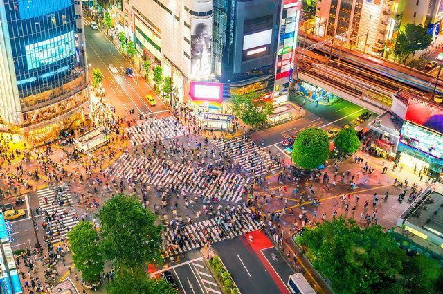 CARPE DIEM AU JAPON pas cher photo 4