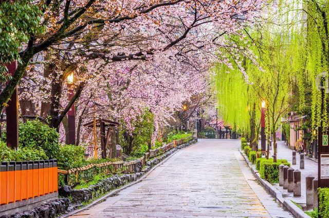 CARPE DIEM AU JAPON pas cher photo 6