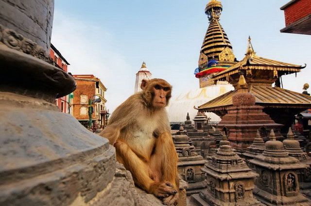 NEPAL INTIMISTE pas cher photo 4