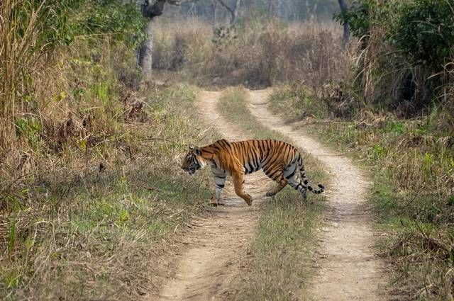 NEPAL INTIMISTE pas cher photo 9