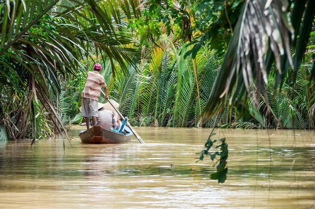 LA CANTATE DU MEKONG PT SUP CAT DELUXE pas cher photo 12