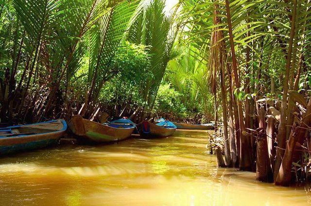 CIRCUIT AVENTURE VIETNAMIENNE ET RENDEZ VOUS EN VILLAGE TAY pas cher photo 10