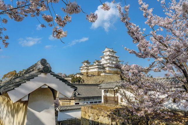 CIRCUIT LE JAPON ETERNEL pas cher photo 8