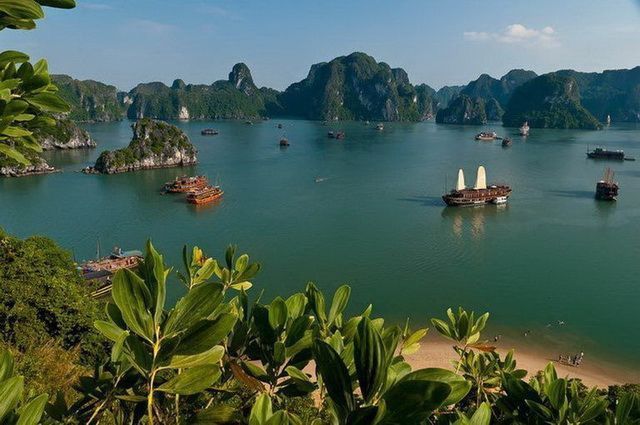 LA CANTATE EXT HALONG PT PANORAMA CAT DELUXE pas cher photo 16