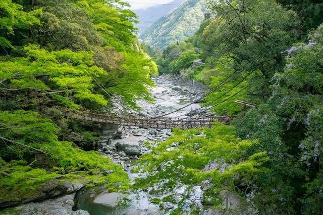 JAPON INTIMISTE pas cher photo 3