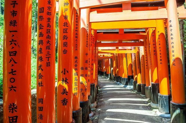 JAPON INTIMISTE pas cher photo 13