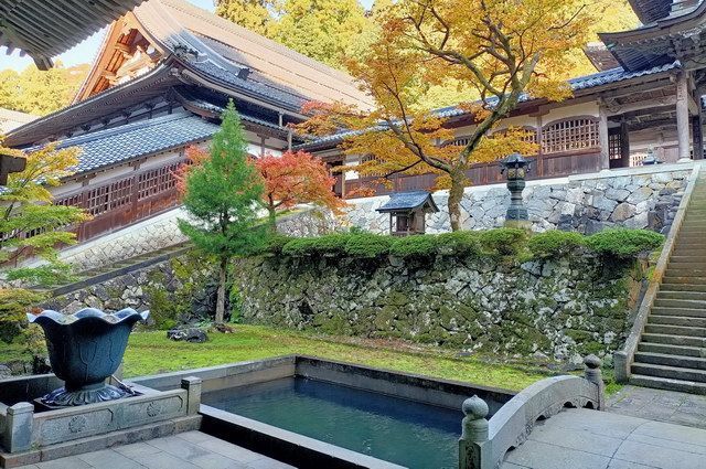 ESPRIT DU JAPON pas cher photo 10