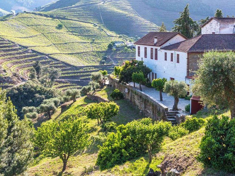 Circuit Indispensable Portugal - 8 jours / 7 nuits pas cher photo 3
