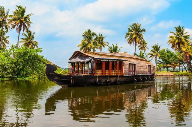 INDE DU SUD ESSENTIELLE pas cher photo 8