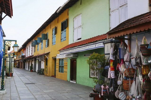 INDE DU SUD ESSENTIELLE pas cher photo 9